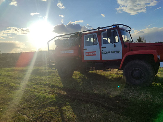 Пожароопасный сезон 2025 года закрыт