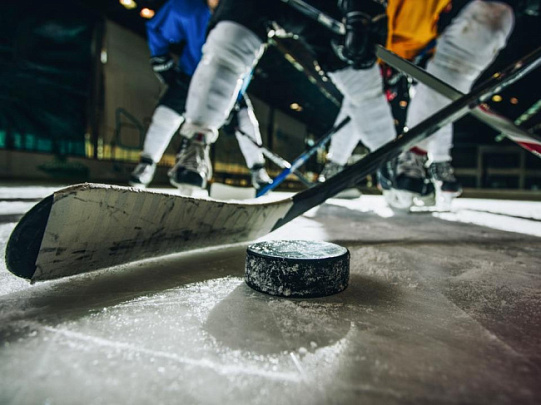 Хоккейный клуб "Луховицы" празднует победу над Коломной в ветеранском чемпионате Подмосковья