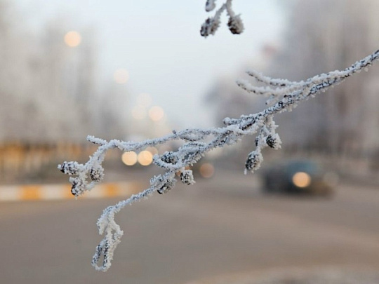16 декабря в Подмосковье ожидается ледяной дождь и гололедица