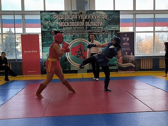 Бойцы ушу собрались на "Кубке Альфы" в Воскресенске