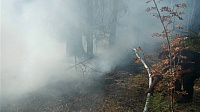 За сутки ликвидировали два лесных пожара