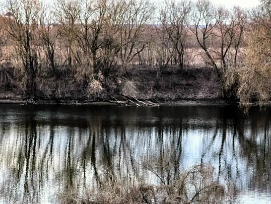 Спасатели достали тело мужчины из воды в Луховицах