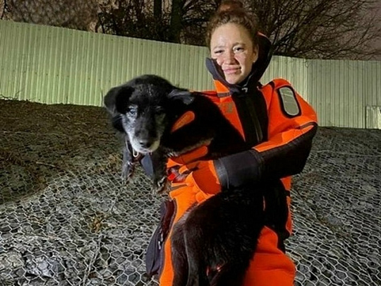 В Коломне спасли собаку