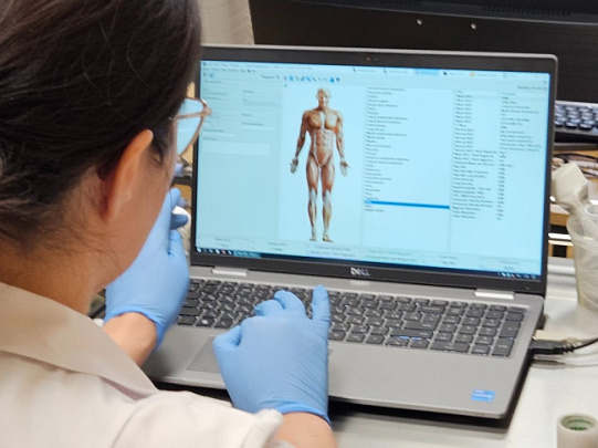 Тихая эпидемия заболеваний ЖКТ 