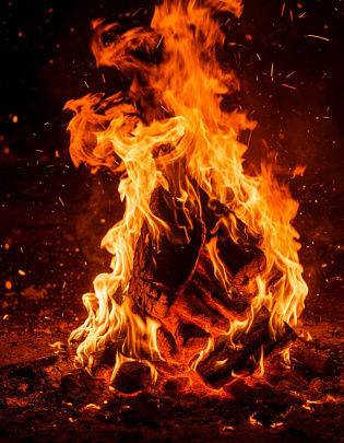 Школьники Воскресенска получили медали &quot;За проявленное мужество&quot; при тушении пожара  