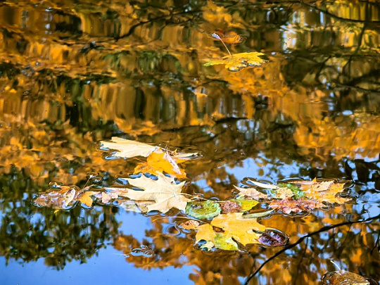 В Подмосковье придёт сильное похолодание