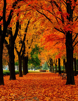 В Воскресенске отремонтируют освещение на Железнодорожной улице